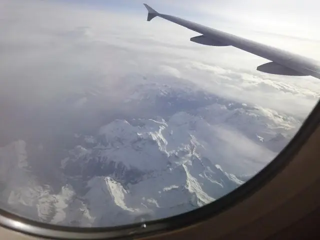 Модель объясняет доминирование полосатых сов над северными пятнистыми совами