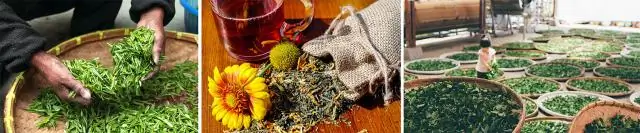 Естественные альтернативы для защиты растений, вдохновленные фармацевтическими исследованиями