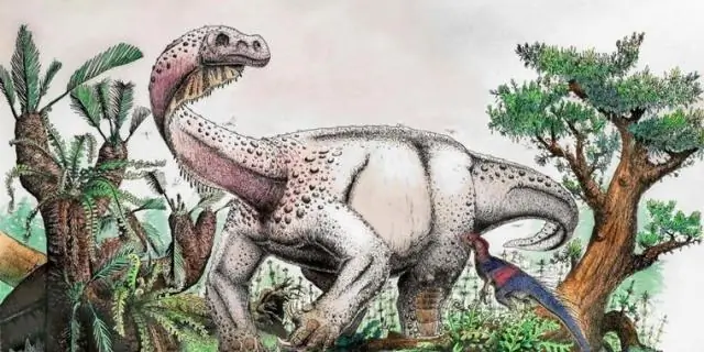 Геофизики изучают ранние динозавры и обнаруживают удивительные вариации