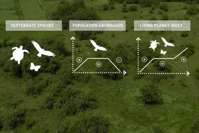 Исследователи сравнивают тенденции биоразнообразия с фондовым рынком