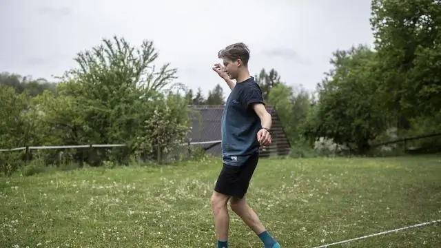 Уравновешивание: фермент, который связывает эндоцитоз с рециркуляцией мембран