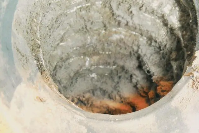 Отложение пыли в Восточной Азии влияет на биологическую продуктивность моря