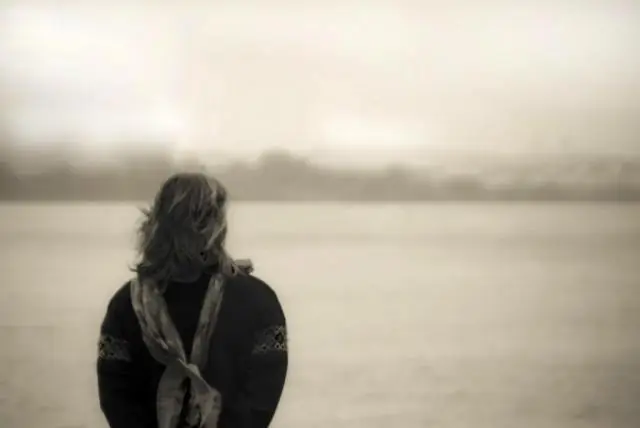 Новое исследование водосберегающих растений способствует развитию засухоустойчивых культур