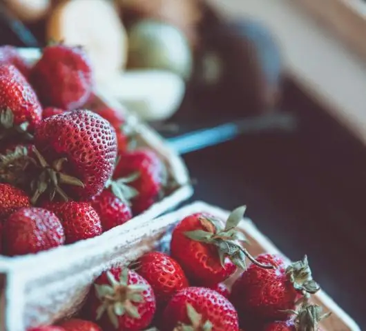 Бактерии производят афродизиак, вызывающий брачный рой простейших