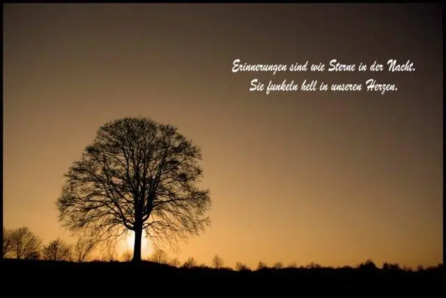 Потерянный рай? Исчезновение крупных плодоядных птиц угрожает тропическим лесам