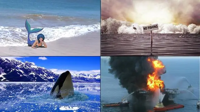 Глобальная утрата среды обитания по-прежнему происходит на большей части Земли