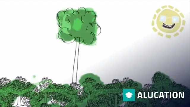 Преобразование растительных клеток из универсальных в специализированные: белки объединяются, чтобы запустить дифференцировку стволовых клеток в корнях растений