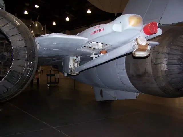 Большие высоты мешают колибри маневрировать