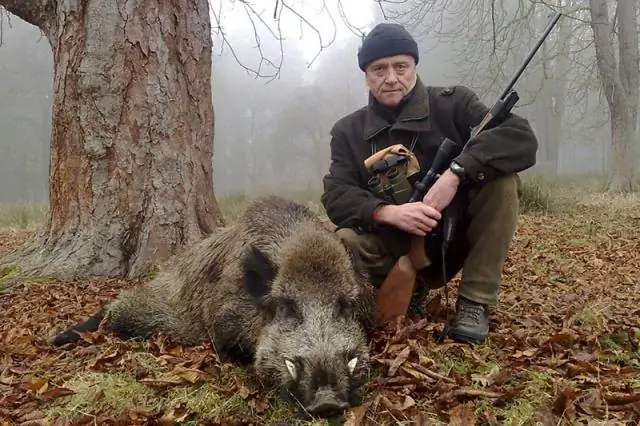 Охота на дикую фаву