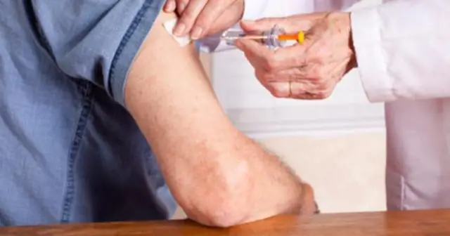 Кому нужно тело? Не эти личинки, которые по сути являются плавательными головами