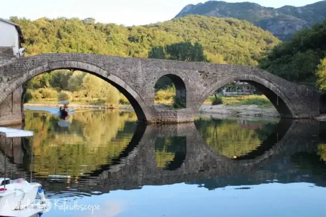 Штамм оспы 17-го века, извлеченный из частичных мумифицированных останков литовского ребенка