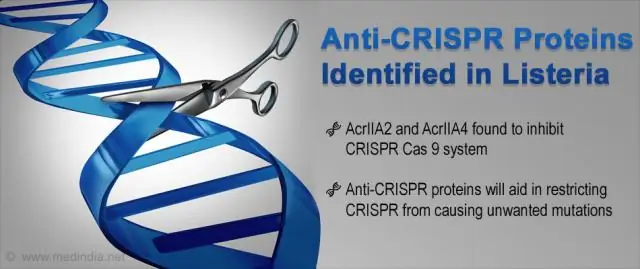 Анти-CRISPR для редактирования генов