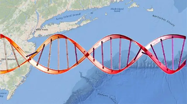 Экологическая ДНК эффективно отслеживает популяции водных видов