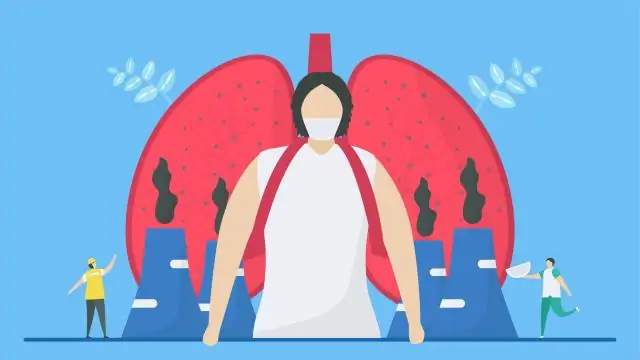 Загрязнение воздуха ухудшает работу кровеносных сосудов в легких: авторы рекомендуют ограничивать физическую активность в сильно загрязненных районах