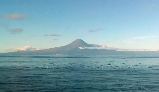 Дистанционное зондирование становится все более важным в исследованиях биоразнообразия: новые спутники открывают новые возможности