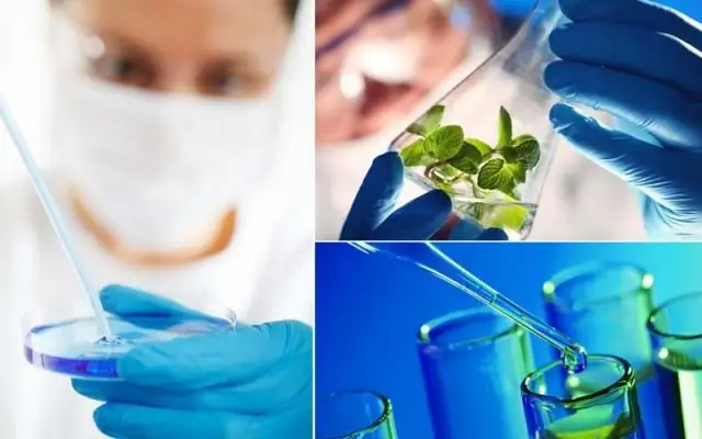 Лекарства от природы: большие эффекты нескольких соединений в небольших количествах