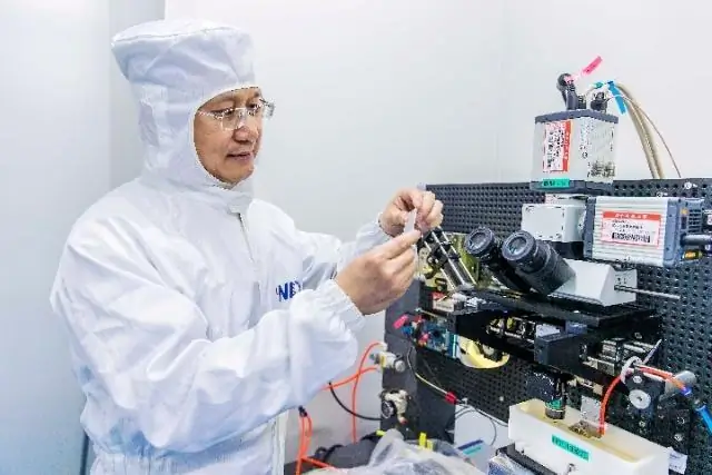 Ученые разработали новый метод, чтобы дать «наиболее надежную» оценку численности львов Масаи Мара