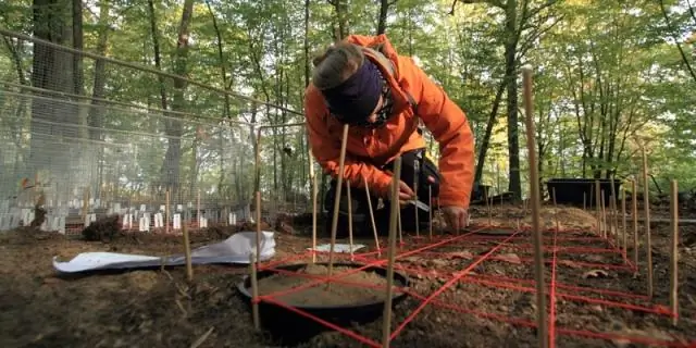 Исследования дерновых трав сосредоточены на эффективности орошения и засухоустойчивости