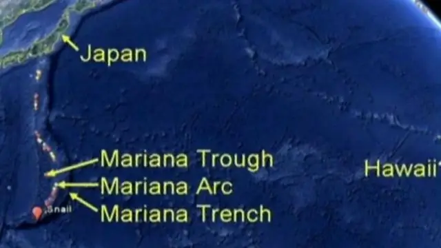 Новый сложный сигнал, зарегистрированный в Марианской впадине, предположительно исходит от усатого кита