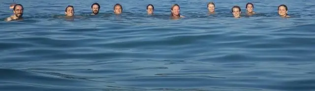 Реакция растений на тепловой стресс колеблется между днем и ночью: как растения реагируют на повышенные температуры, имеющие решающее значение для защиты окружающей среды и снабжения продовольствием