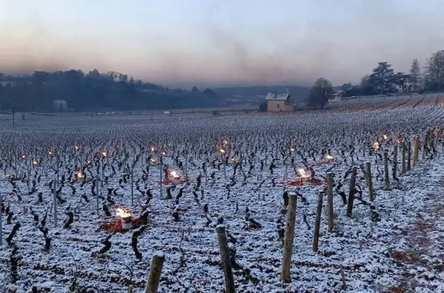 Etna’s и сильный холод стимулируют жизнь в бездонных глубинах Средиземноморья