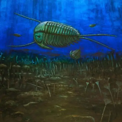 Быстрое сокращение популяции позвоночных началось с индустриализацией