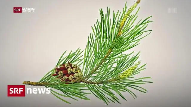 Отслеживание выбросов углерода в Великобритании из почвы в море