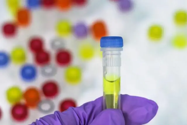 ДНК-маркеры различают безвредные и смертоносные бактерии: крупномасштабное исследование генома выявляет потенциальные факторы вирулентности для различения новых видов