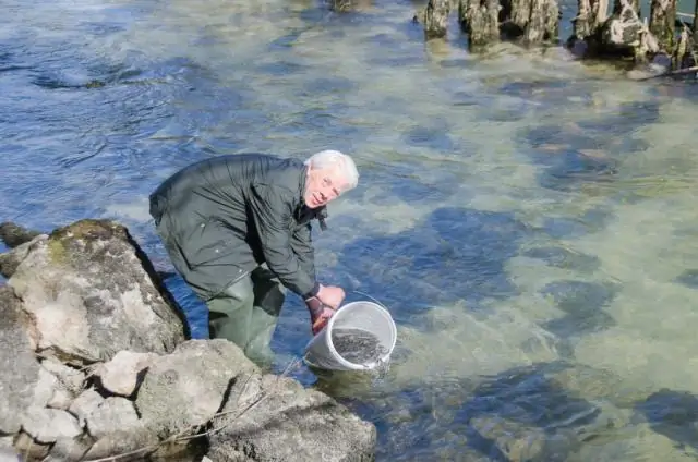 Инвестиции в управление рыболовством улучшают популяцию рыбы