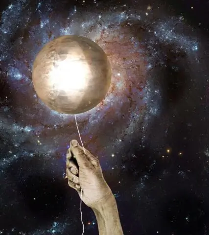 Подарки светлячков: раскрыт состав «брачных даров», проливающий свет на половой отбор после спаривания