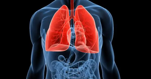 Ученые определяют новый подход к переработке парниковых газов