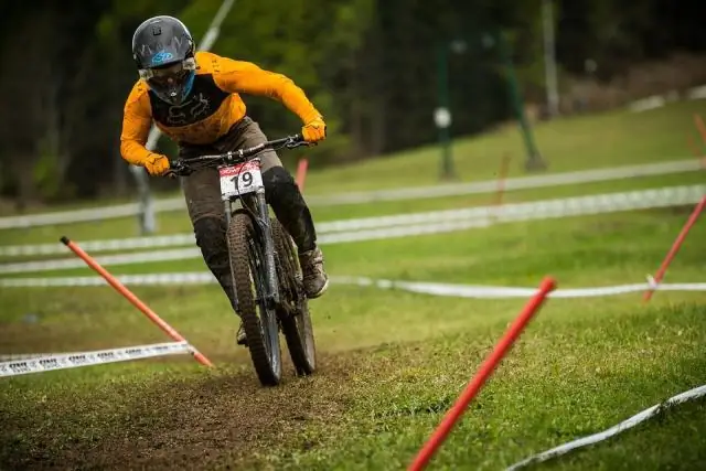 Спринт навстречу вымиранию? Численность гепардов падает во всем мире: ученые подтверждают, что осталось всего 7100 гепардов, и призывают внести их в Красную книгу МСОП как «находящиеся под угрозой исч