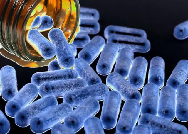 Устойчивость к антибиотикам стала более сложной