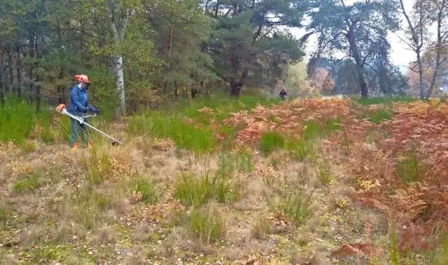 Исследование муравьев, проведенное биологом, дает долгосрочный взгляд на последствия изменения климата