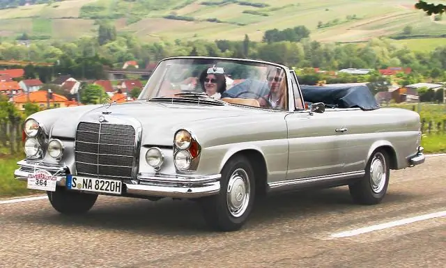 280-миллионная окаменелость раскрывает происхождение химероидных рыб: открытие позволяет ученым связать последнюю крупную группу позвоночных с древом жизни