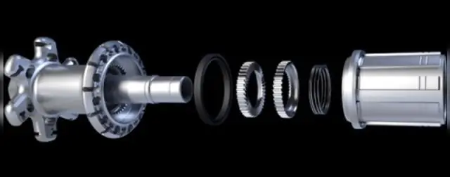 Новый механизм ретракции пилей типа IV у Vibrio cholerae