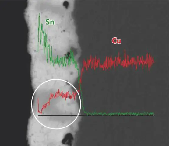 Выживание на больших расстояниях: влияние времени хранения и воздействия окружающей среды на почвенных насекомых