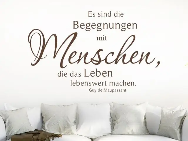 Необходимы усилия, чтобы обогатить жизнь косаток в неволе