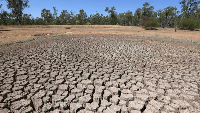Жаркая погода не виновата в сальмонеллезе на яичных фермах