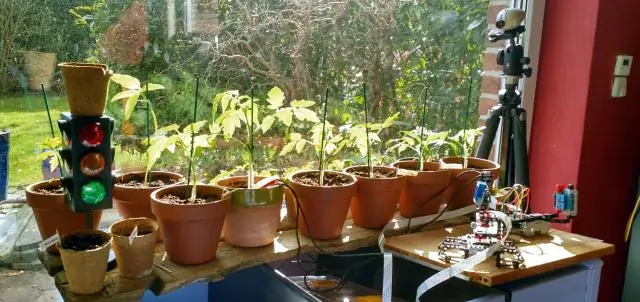 База данных растений с открытым исходным кодом подтверждает, что в США выращивают лучшие биоэнергетические культуры