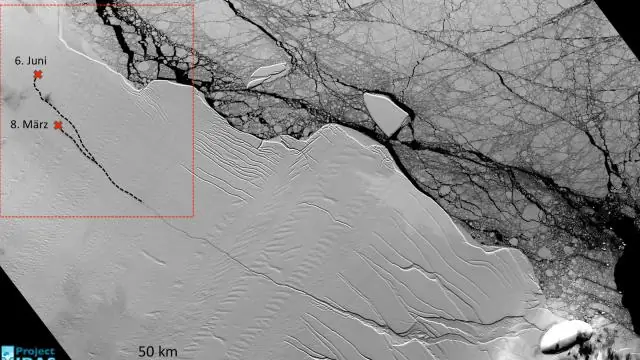 Гигантский айсберг, площадью 5000 квадратных километров, собирается отколоться от шельфового ледника Ларсена С, Антарктида