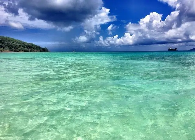 Муха обнаруживает новый сигнал, связанный с ростом конечностей