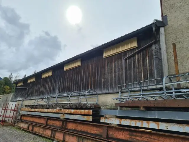 Карибским летучим мышам нужно 8 миллионов лет, чтобы оправиться от недавних волн вымирания