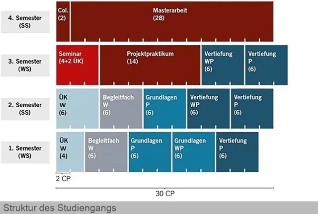 Новые данные подробно описывают структуру незрелого вируса Зика