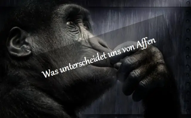 Генетические противоположности притягиваются, когда шимпанзе выбирают себе пару: шимпанзе могут отличить генетически сходного партнера от более отдаленного