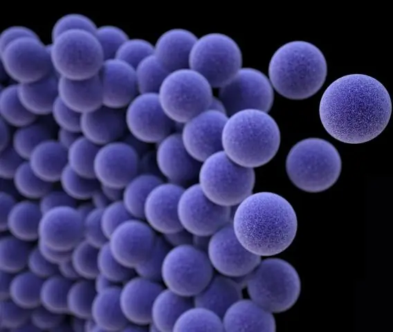 Структура бактериального белка может помочь в разработке новых антибиотиков: ученые раскрыли структуру востребованного бактериального белка