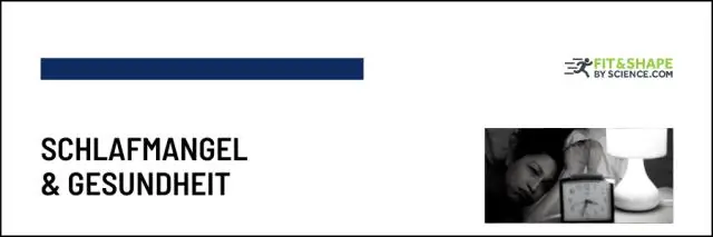 Простые жиры и аминокислоты, чтобы объяснить, как зародилась жизнь