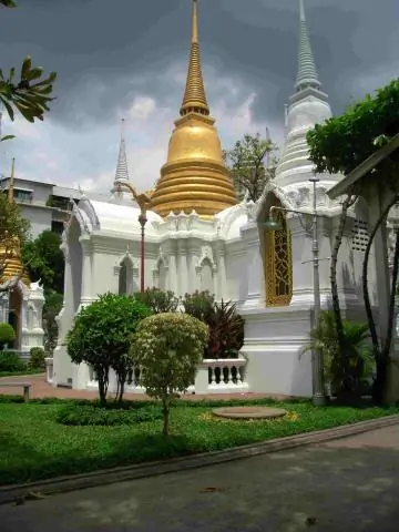 Индия отнюдь не была такой изолированной, как мы думали: палеонтологи демонстрируют активный обмен 54 миллиона лет назад с помощью янтарных мошек