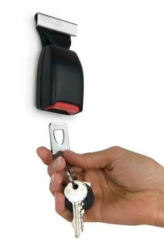 Ключи к охотничьему поведению спрятаны глубоко в мозгу позвоночных