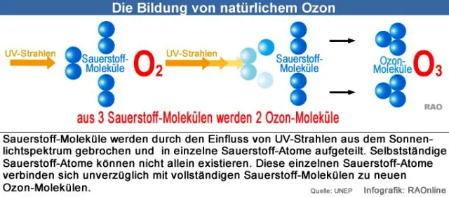 Раш-визуализация с высоким разрешением проясняет энергетические механизмы образования бактериальных жгутиков